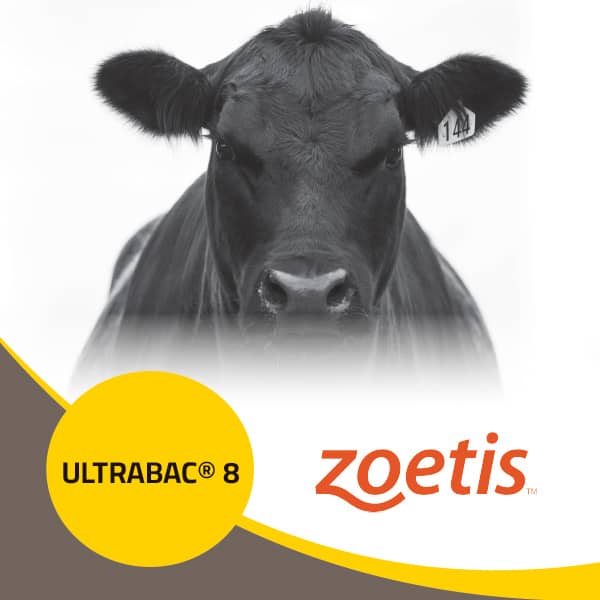 Ultrabac 8