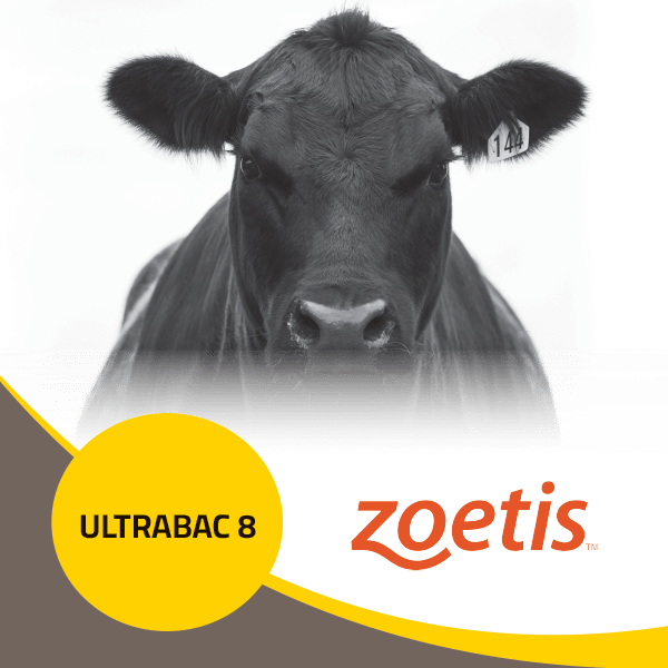 Ultrabac 8