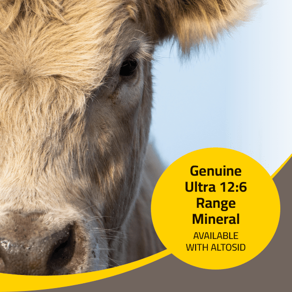Genuine Ultra 126 Range Mineral