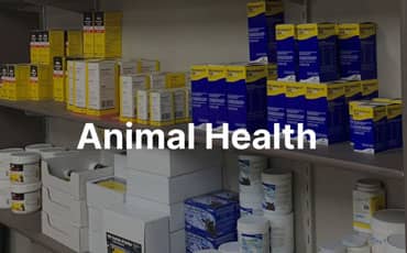 Animal Health tile