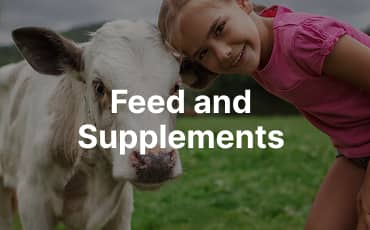 Feed and Supplements tile