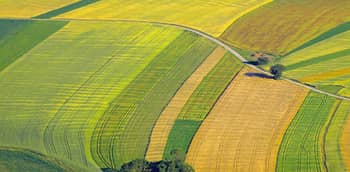 Simplot Maximizes the Energy Efficiency of Facility Expansion with ...