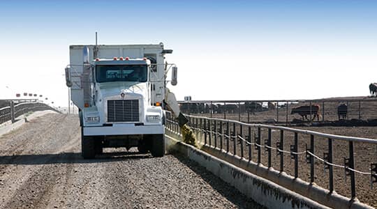 CTA_Card_Images_540x300_FeedTruck-original Simplot.com