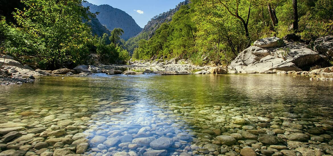 Simplot.com images in use