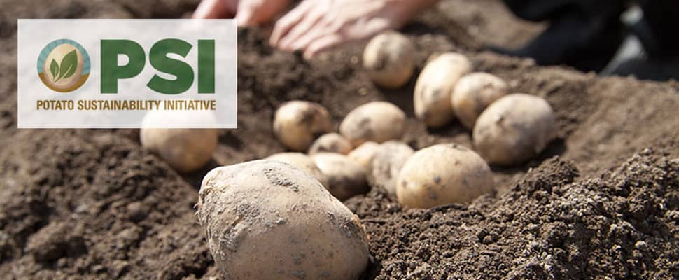 NewsImage_970x400_PotatoSustainabilityInitiative-original Test