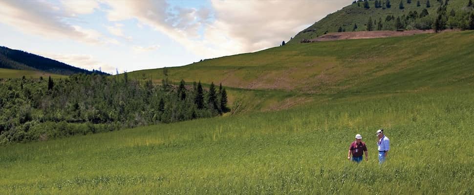 NewsImage_970x400_SmokyCanyon-original Simplot.com