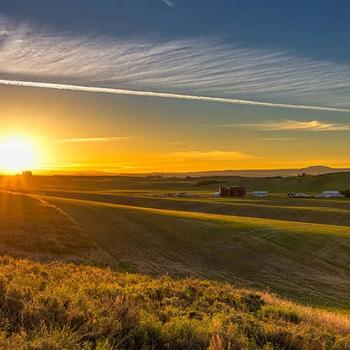 Square_500x500_SunsetFields-original Simplot.com images