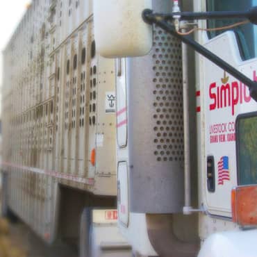 Square_370x370_SimplotCattleTruck-original Simplot.com