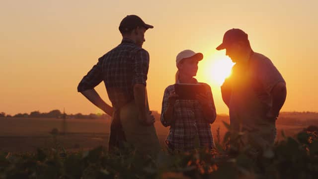 Group of three in field