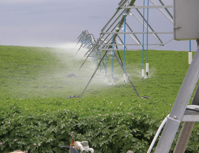 Watering crops