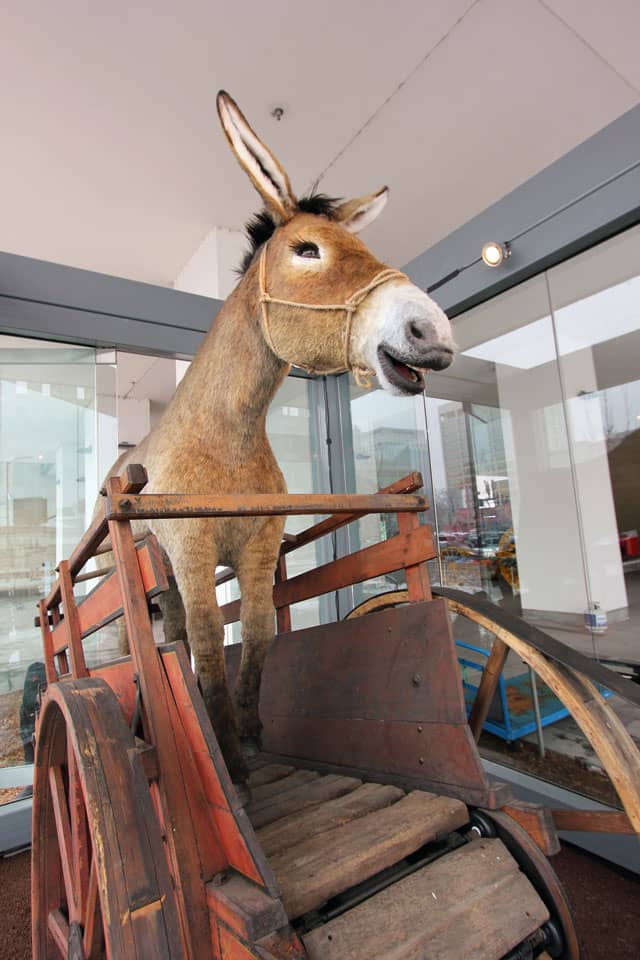 Molly the Mule in her glass showcase