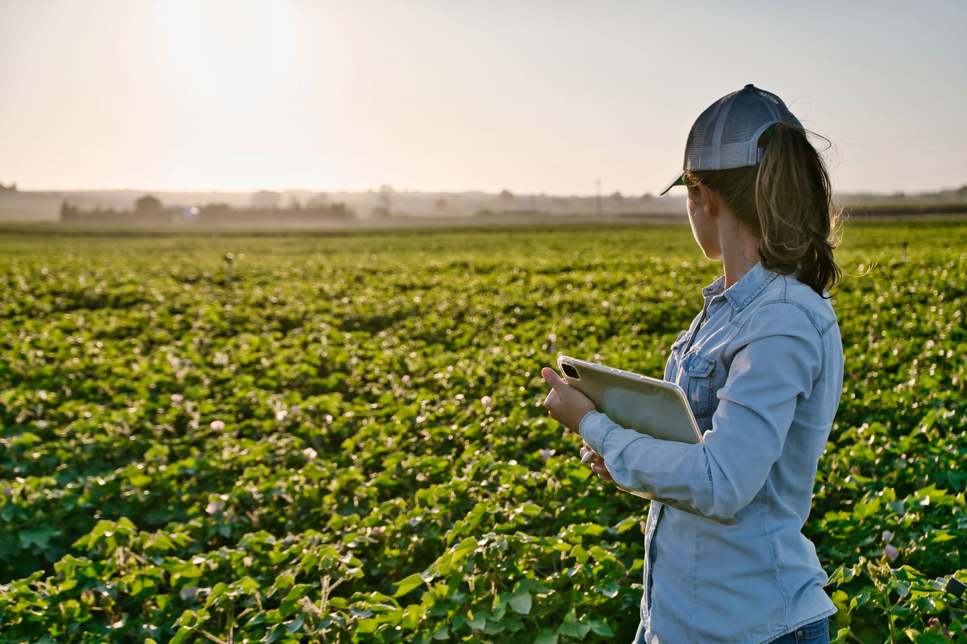 Woman advisor in field