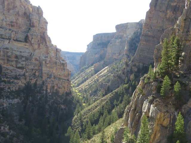 Vernal Canyon
