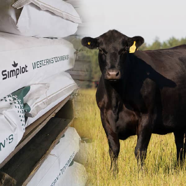 Champion Pride Award Program