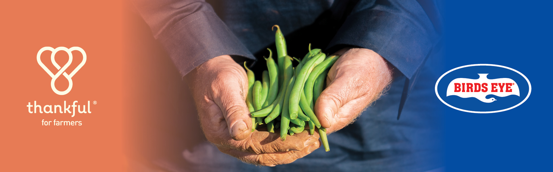 GreenBeanHands