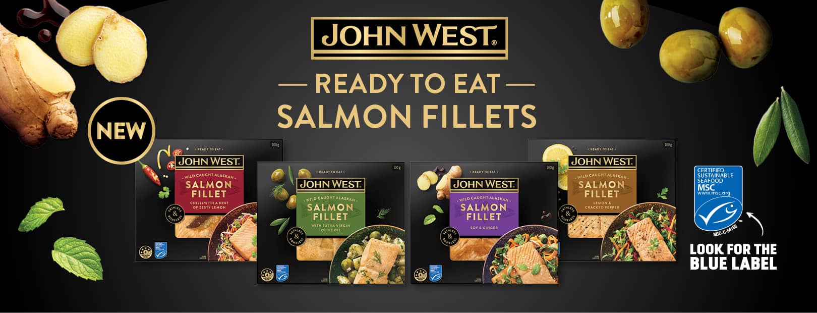 JW Salmon Fillets