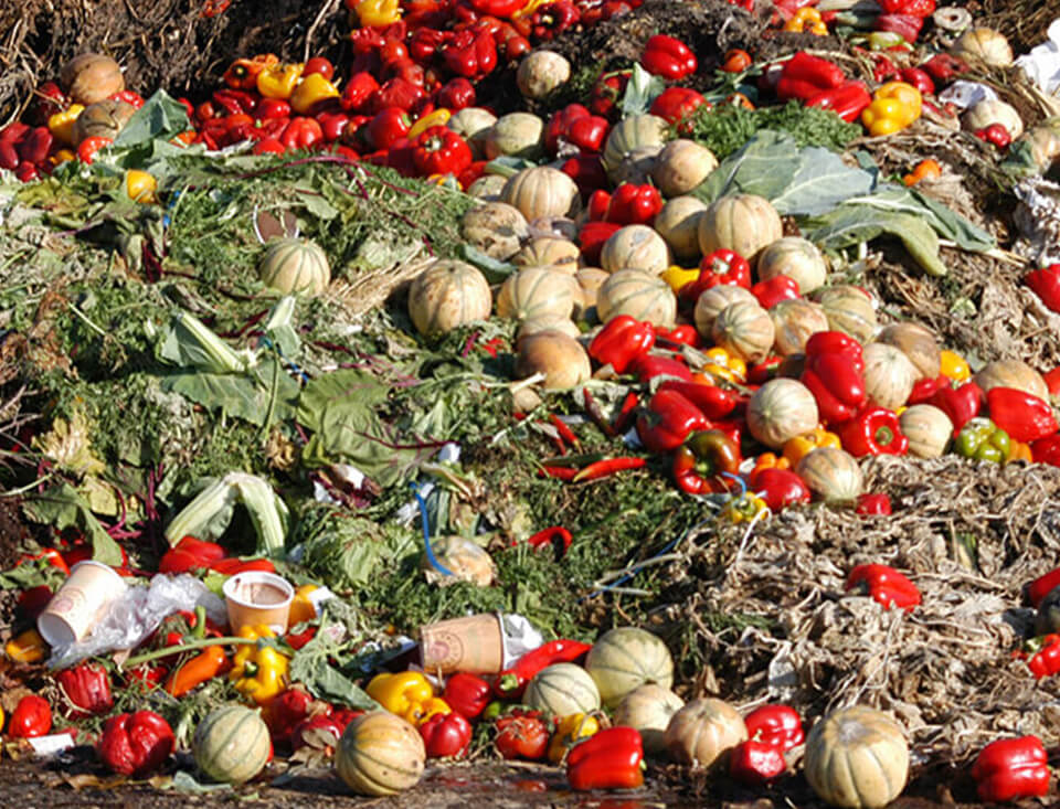Food waste