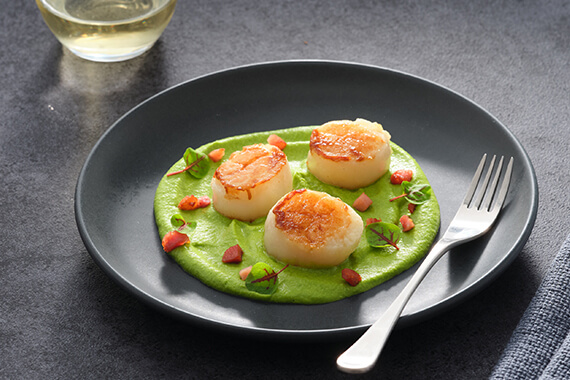 Seared scallops with pea puree