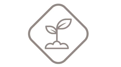 Sustainability - Prosperity