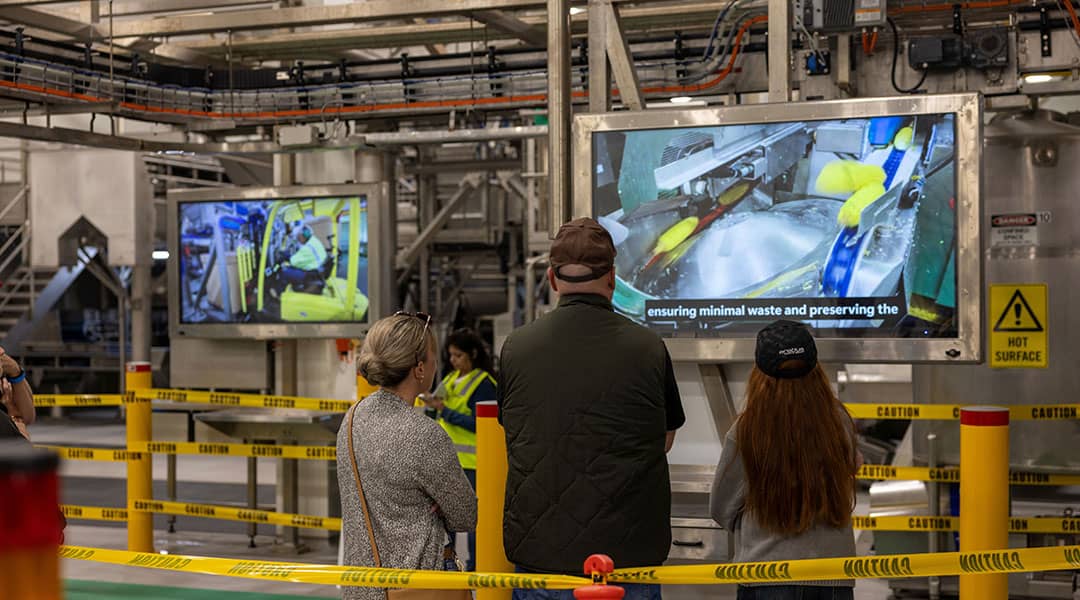 Bathurst Family Open Day