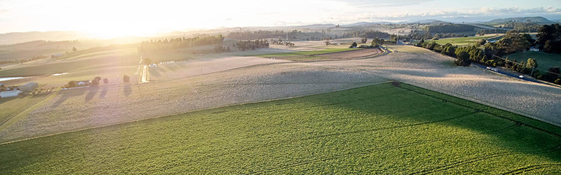 David Salter Simplot Simplot Australia Announces $100 Million Investment in New South Wales ...