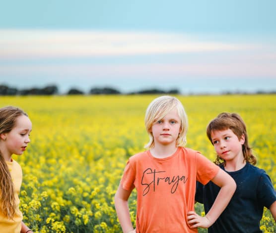 Field with irrigation 