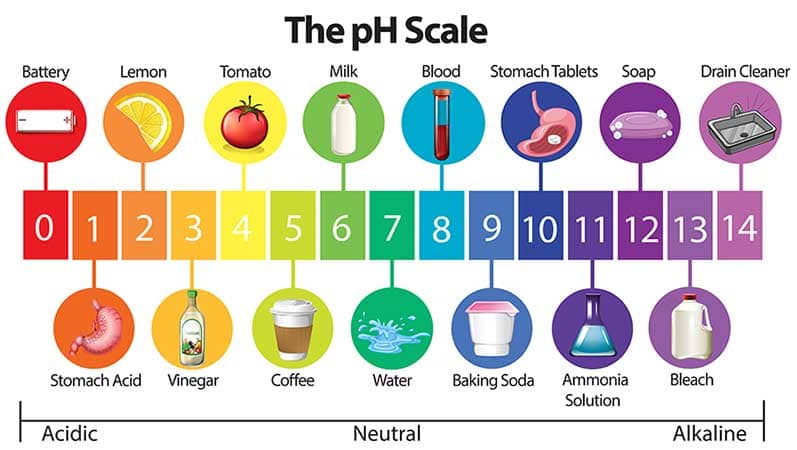 Water pH Scale 